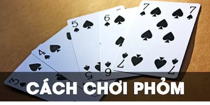 Hướng dẫn cách chơi phỏm